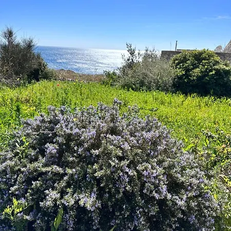 Mariapaola * Torre Vado