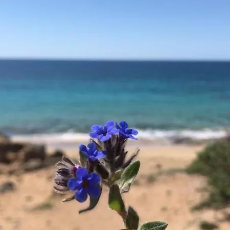 Mariapaola 度假居 托雷瓦多